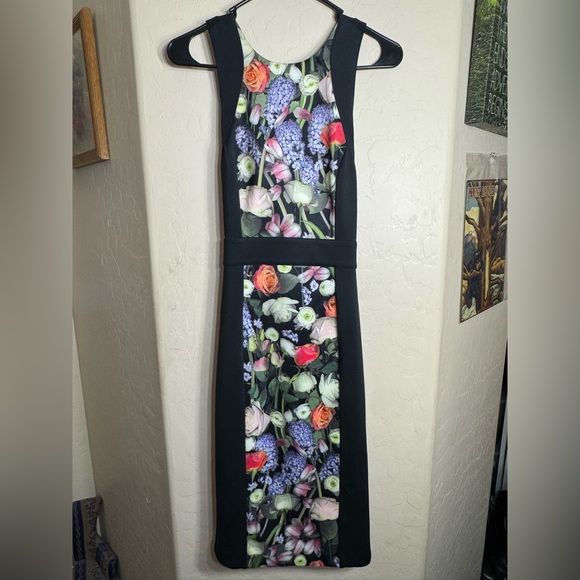 Ted Baker London Floral Panel Sleeveless Midi Dress Black Pink Fitted Elegant Ted Baker London Floral Panel Sleeveless Midi Dress Black Pink Fitted Elegant